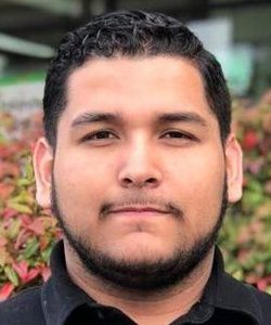 profesor de historia online